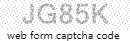 captcha form