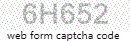 html form software