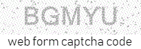 email form captcha