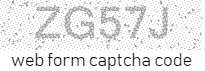 simple captcha