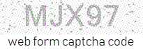 email feedback form