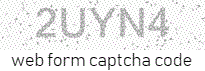 credit card payment online form