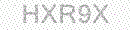 Web Form Protection Code