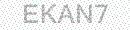 Web Form Security Code