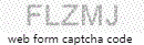 Web Form Protection Code