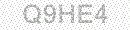 Web Form Protection Code