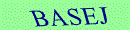 Web Form Protection Code