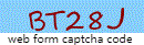 Web Form Protection Code