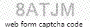 Web Form Protection Code
