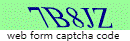 Web Form Protection Code