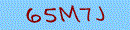 Web Form Protection Code