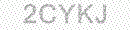 Web Form Protection Code