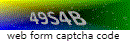 Web Form Protection Code