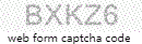 Web Form Code