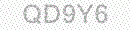 Web Form Code