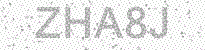 Web Form Protection Code