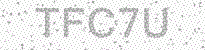 Web Form Protection Code