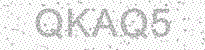 Web Form Protection Code