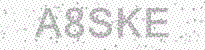 Web Form Protection Code